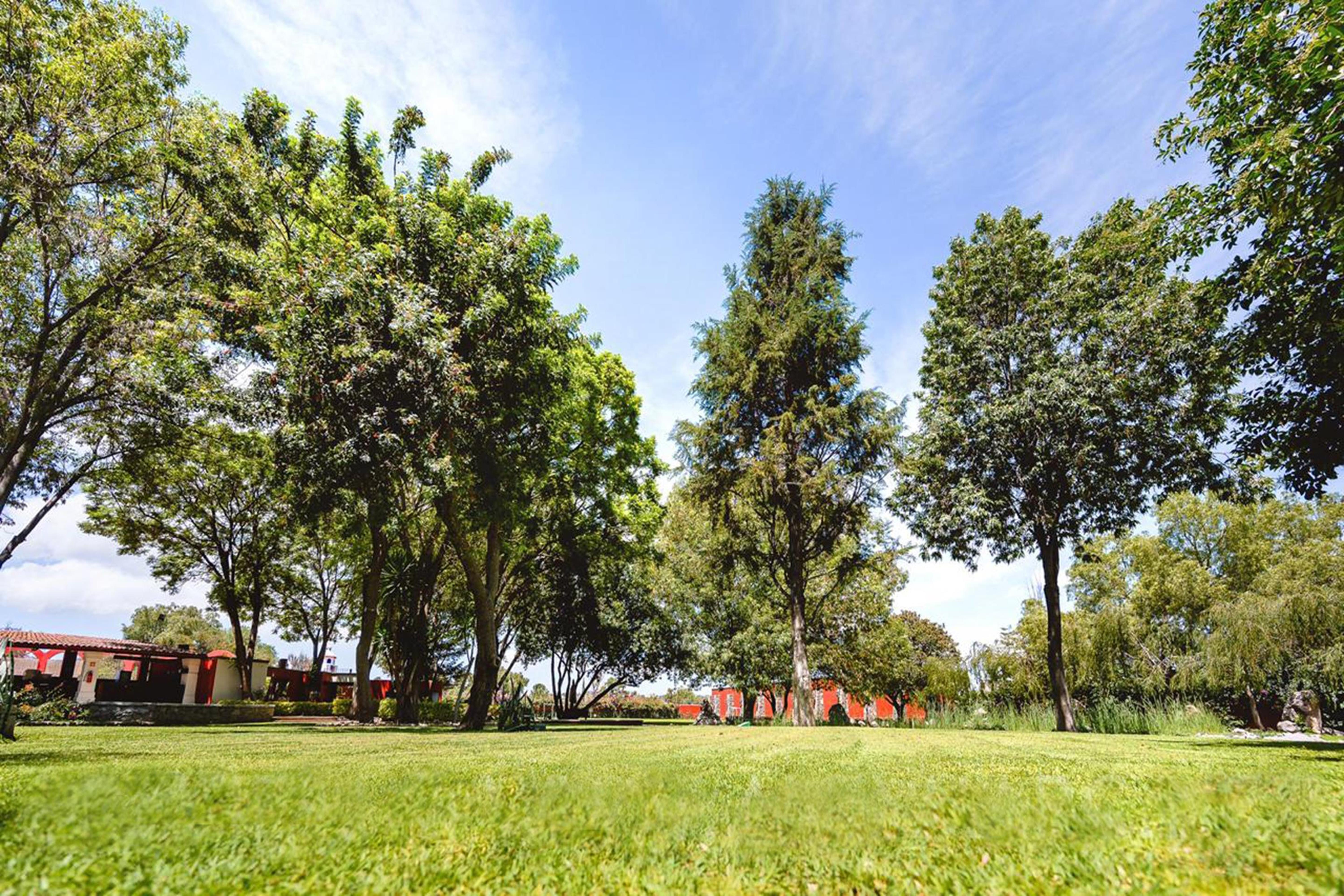 Real De Minas San Miguel De Allende Extérieur photo The park