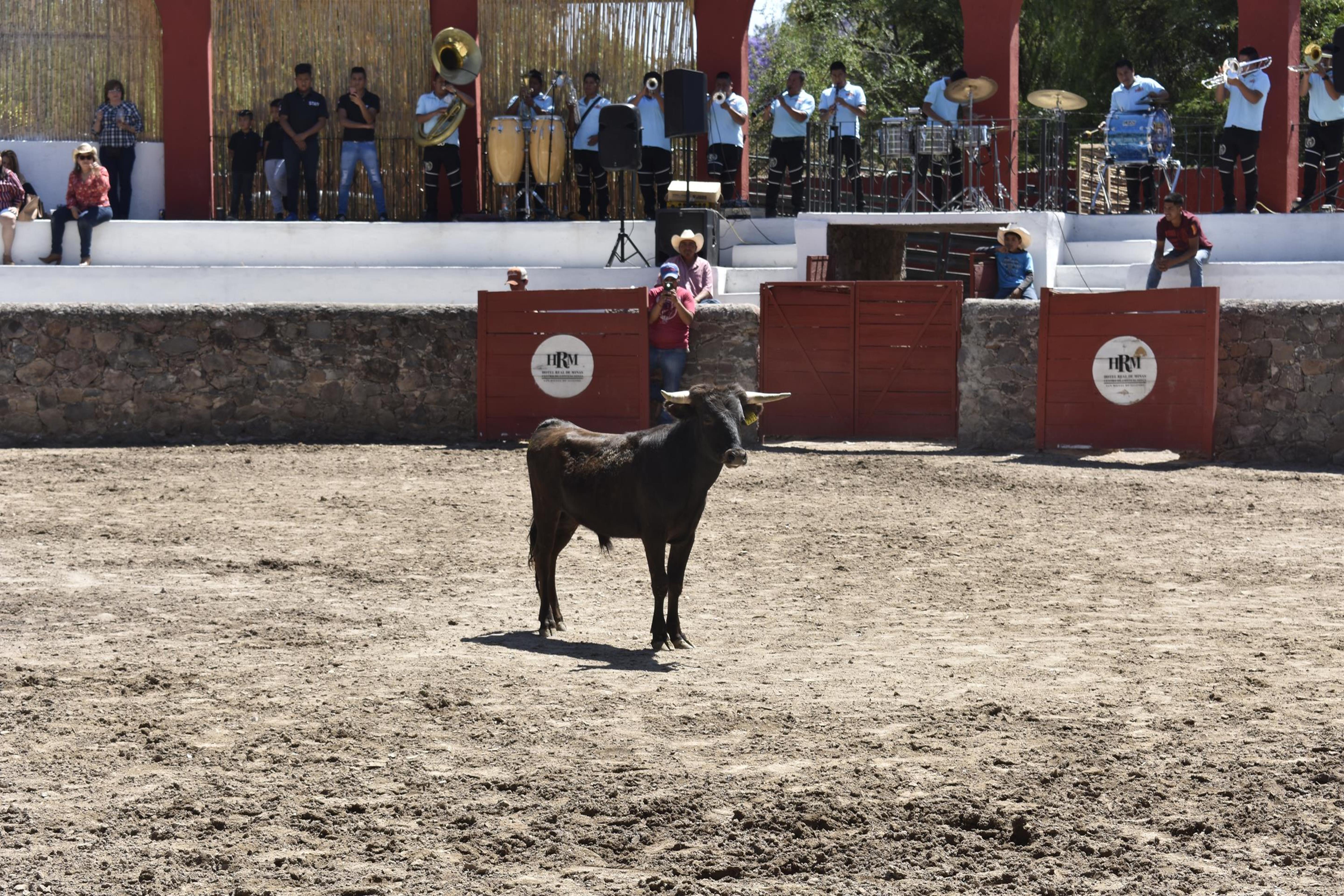 Real De Minas San Miguel De Allende Extérieur photo A bull in the bullring
