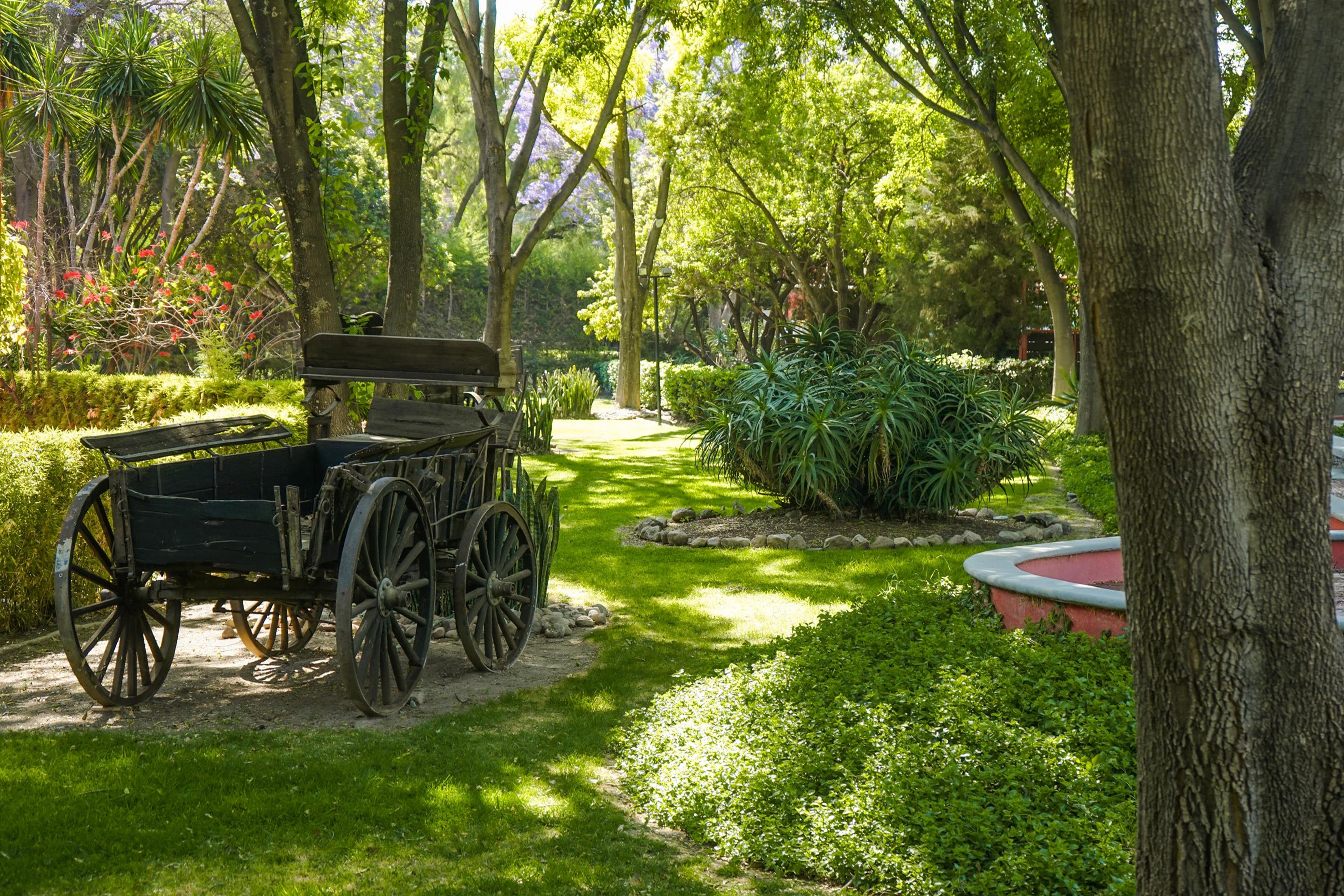 Real De Minas San Miguel De Allende Extérieur photo The gardens of the museum